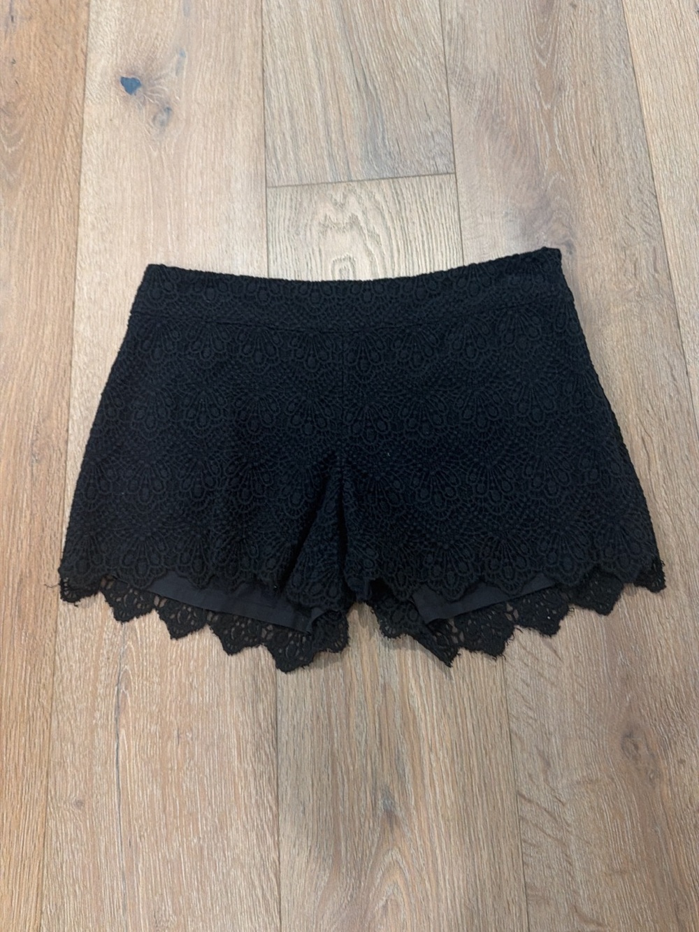 elevenses Black High-Waist Lace Scallop-Edge Shorts
